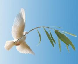 Dove-olive-branch-composite-sm