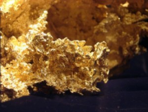 DSC08036-Fricot-Nugget-751x563