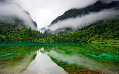 Lake-Reflection-Fog-Forest-HD-Wallpaper