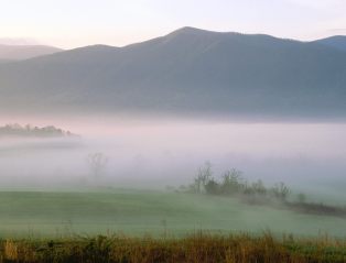 photos-of-foggy-sunrise-cades-cove-great-smoky-mountains-pictures