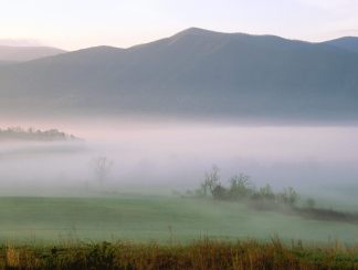 photos-of-foggy-sunrise-cades-cove-great-smoky-mountains-pictures