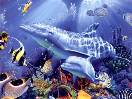 The-best-top-desktop-dolphin-wallpapers-hd-dolphins-wallpaper-18