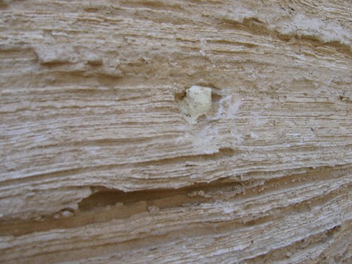 A yellow ball of sulfer stuck in the ash-like layers of dirt / sand in the Sodom & Gmorah ruins.