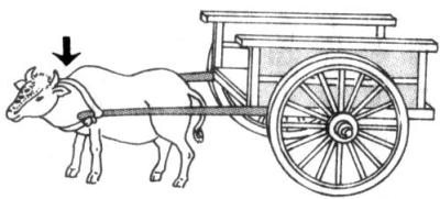 轭 yoke