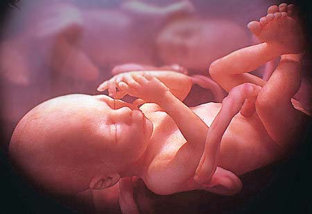 Prenatal-Education