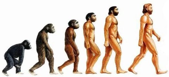 human_evolution