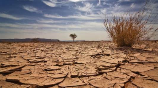 devotional_spiritual_famine.jpg