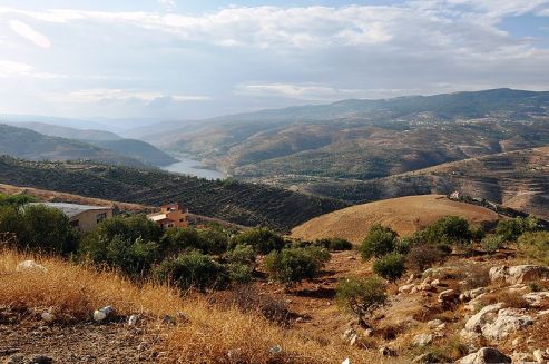 zarqa-river.jpg