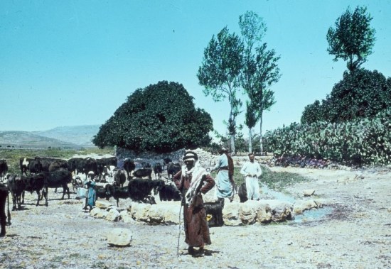 josephs-pit1.jpg