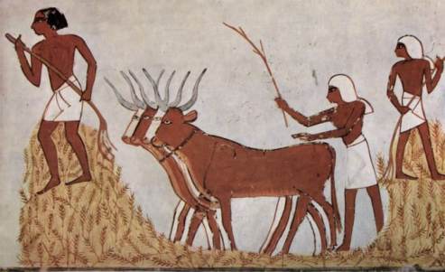 ancient-egyptian-agriculture.jpg