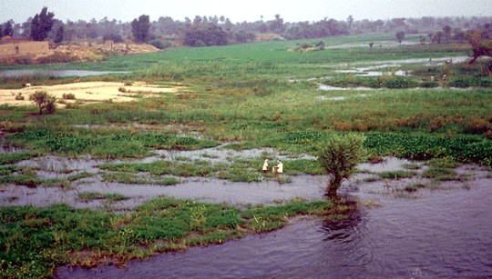 nile-river-flood.jpg