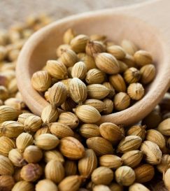 266-amazing-benefits-of-coriander-seeds_310106699.jpg