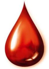 blood-covenant-3.jpg