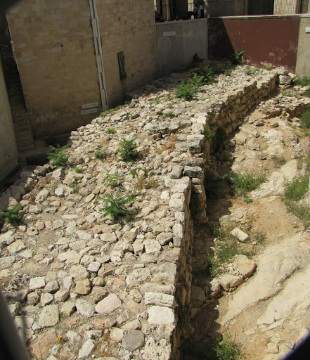 broad-wall