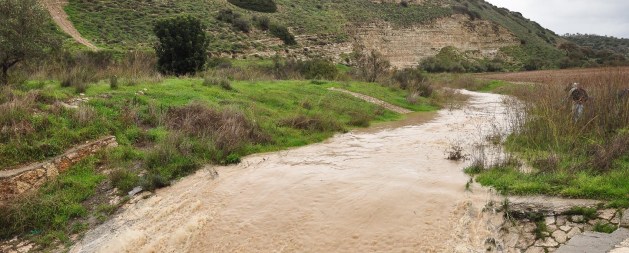 elah-brook-3-days-after-rain