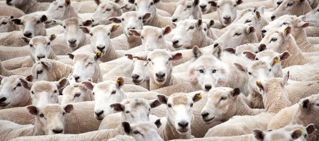 false-prophets