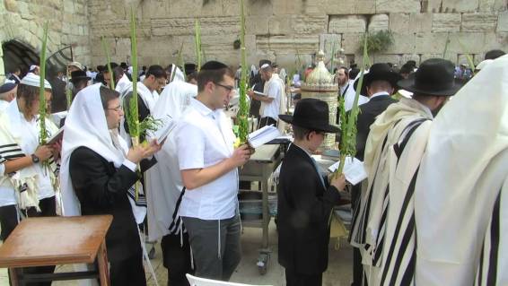 hosanna-sukkot