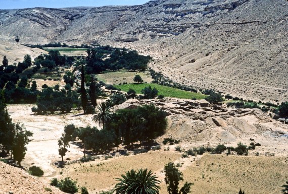 kadesh-barnea