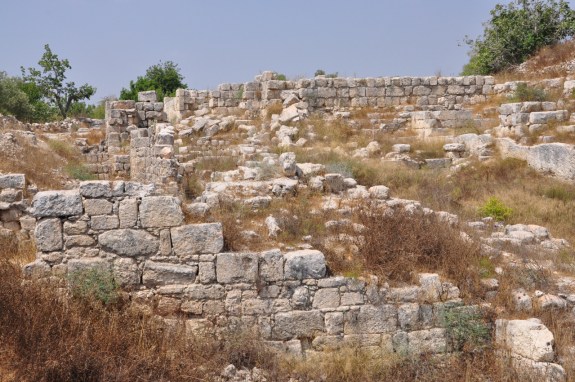 Shmuel Browns 052-311-1265