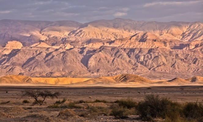 moab-plains