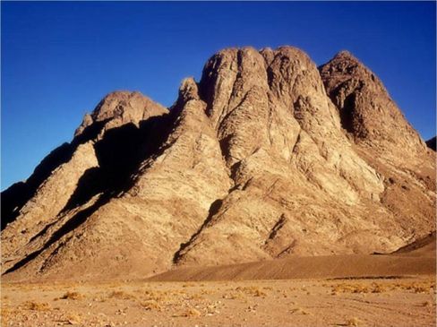 mount-sinai