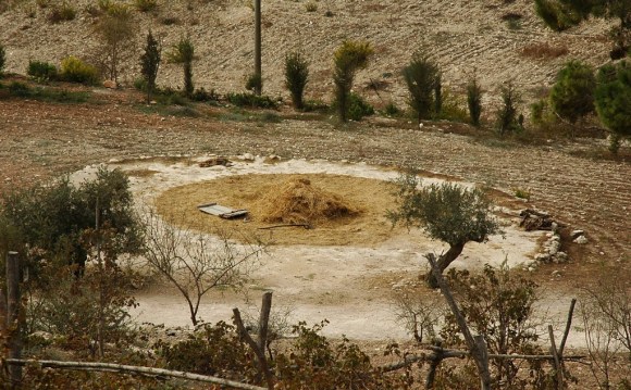 nazareth_village_threshing_floor