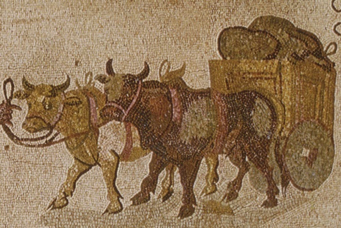 roman-ox-wagon