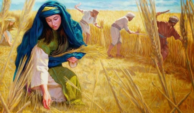 ruth-gleaning