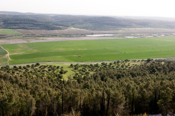 Sorek Valley