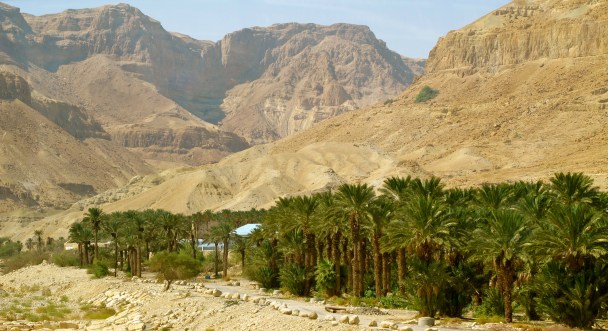 springs-of-engedi