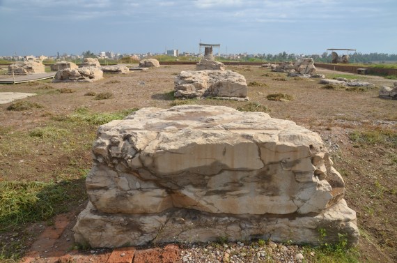 square-bases