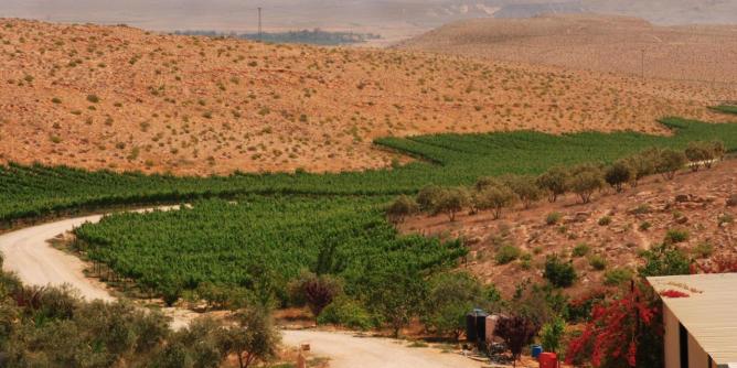 the-negev-desert-wine-route