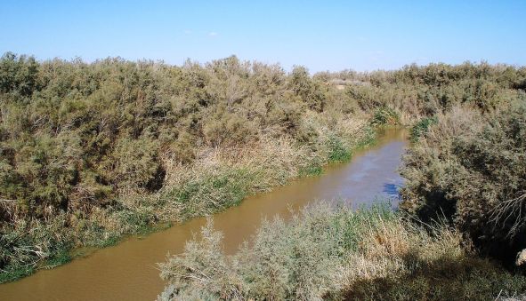 the_jordan_river_near_the_dead_sea