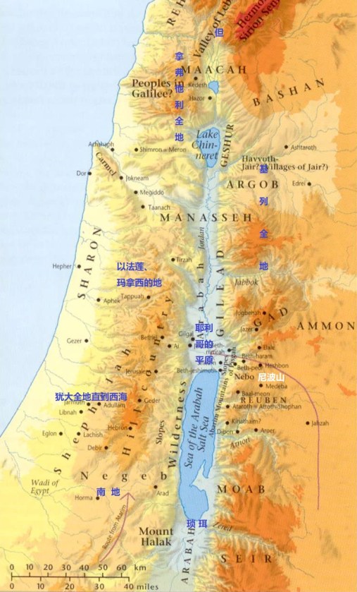 view-of-mount-nebo