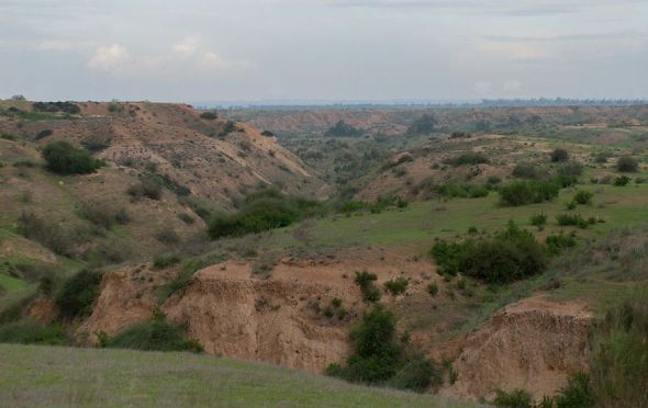 wadi-besor