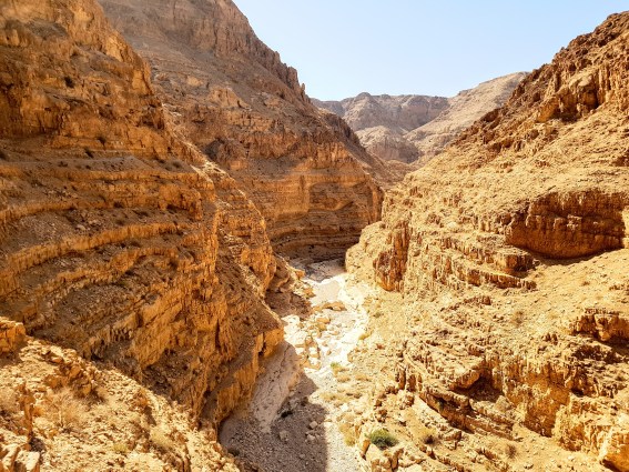 wadi-dragot
