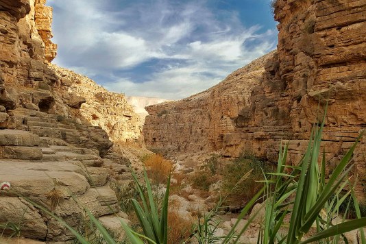 wadi-qelt-shadow-of-death