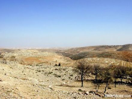Wilderness-of-Ziph