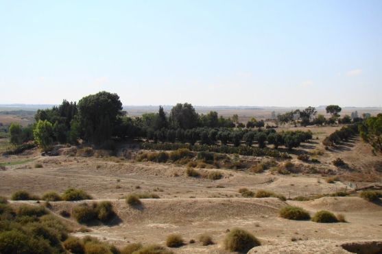 ziklag
