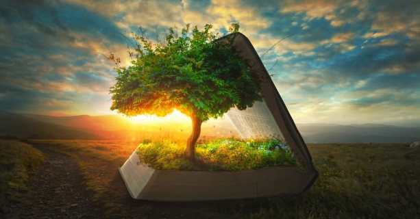 57961-tree-life.1200w.tn.jpg