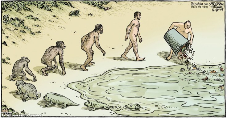 evolution.jpg