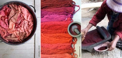 TUB_cochineal01-1